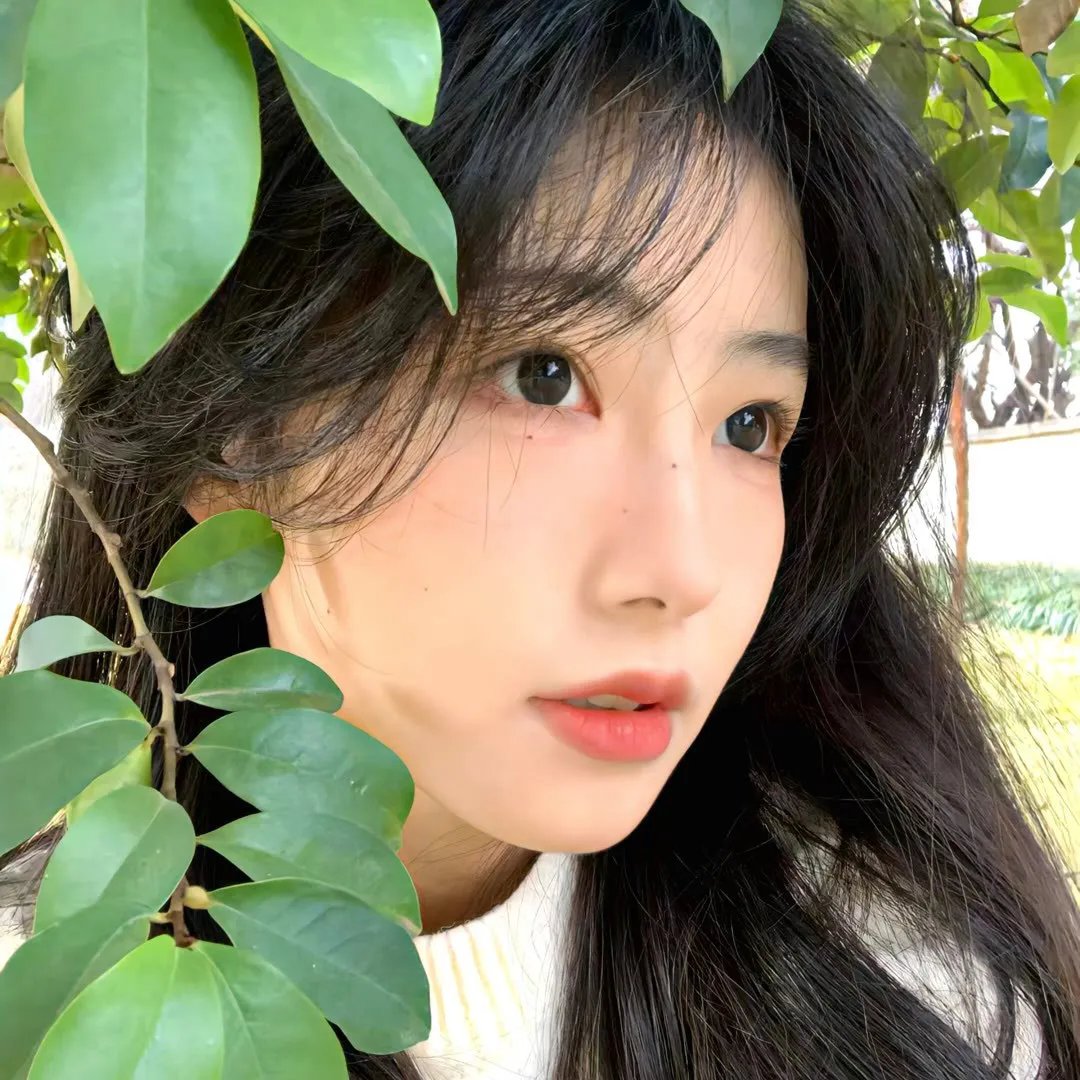 山河故人